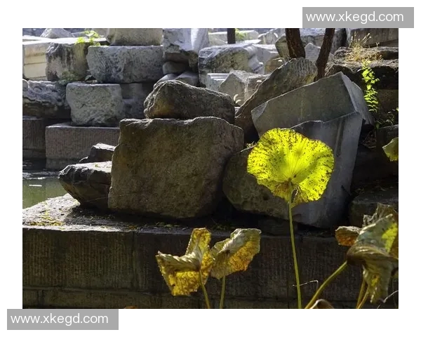 揪心!41岁伍兹前女友严重摔伤 直升机出动救援 4战冬奥悲情谢幕 揪心!41岁伍兹前女友严重摔伤 直升机出动救援 4战冬奥悲情谢幕